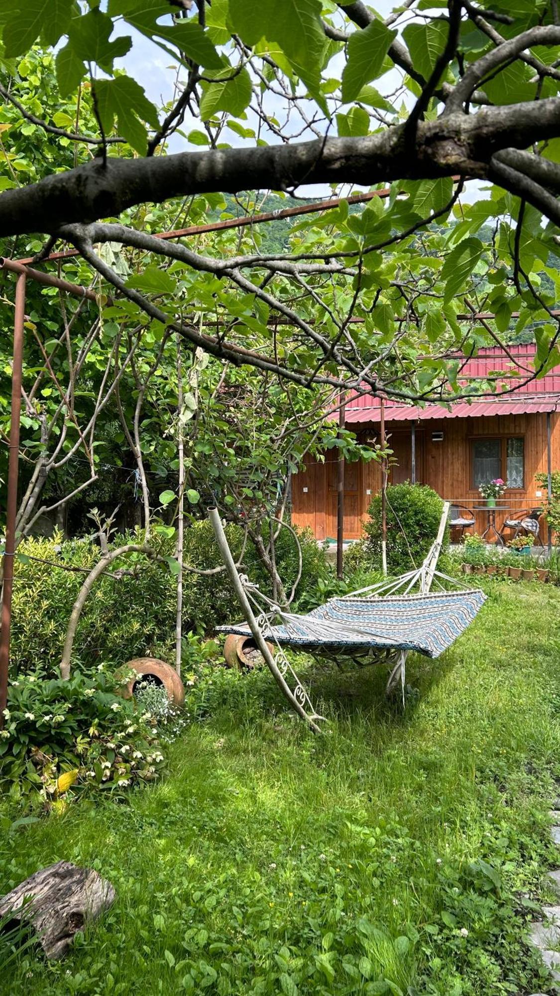 Ludwig Guesthouse Lagodekhi Esterno foto