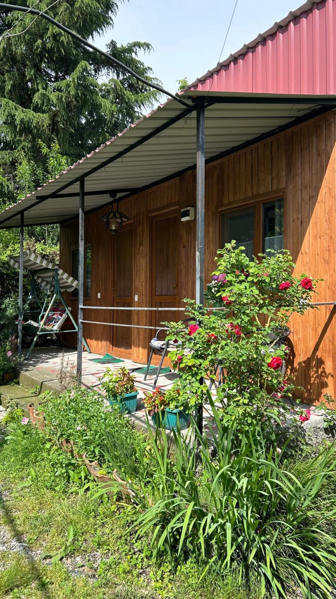 Ludwig Guesthouse Lagodekhi Esterno foto