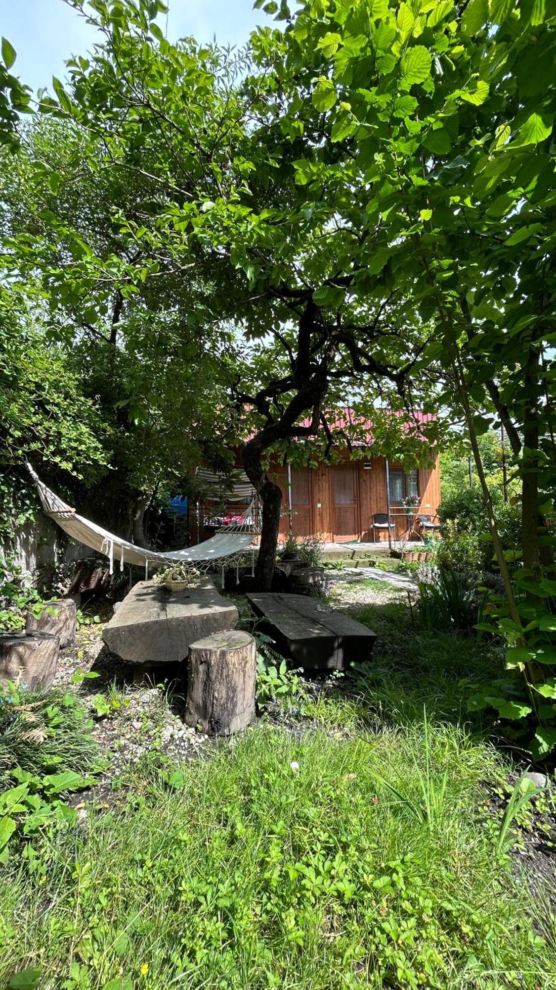 Ludwig Guesthouse Lagodekhi Esterno foto