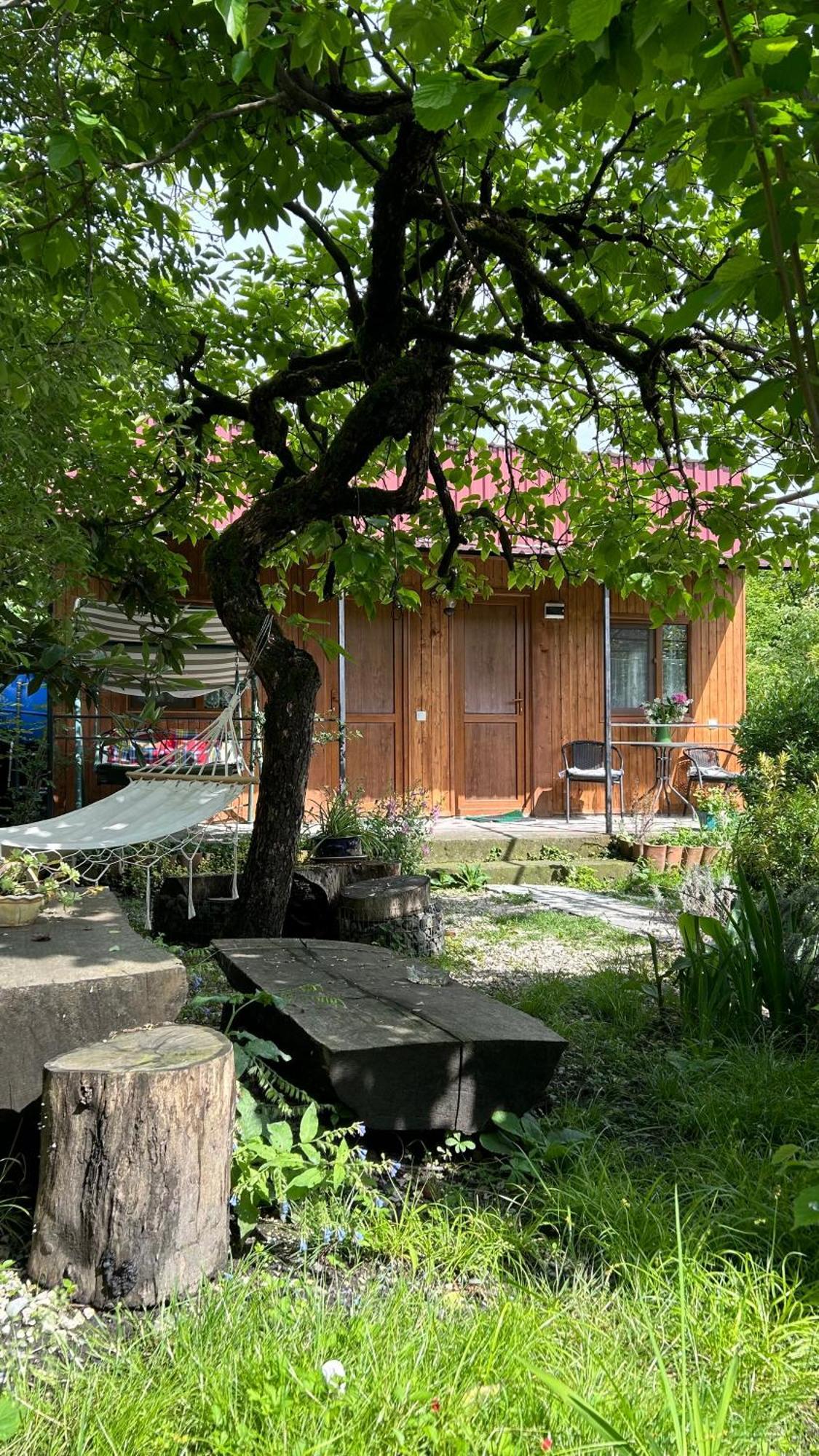 Ludwig Guesthouse Lagodekhi Esterno foto
