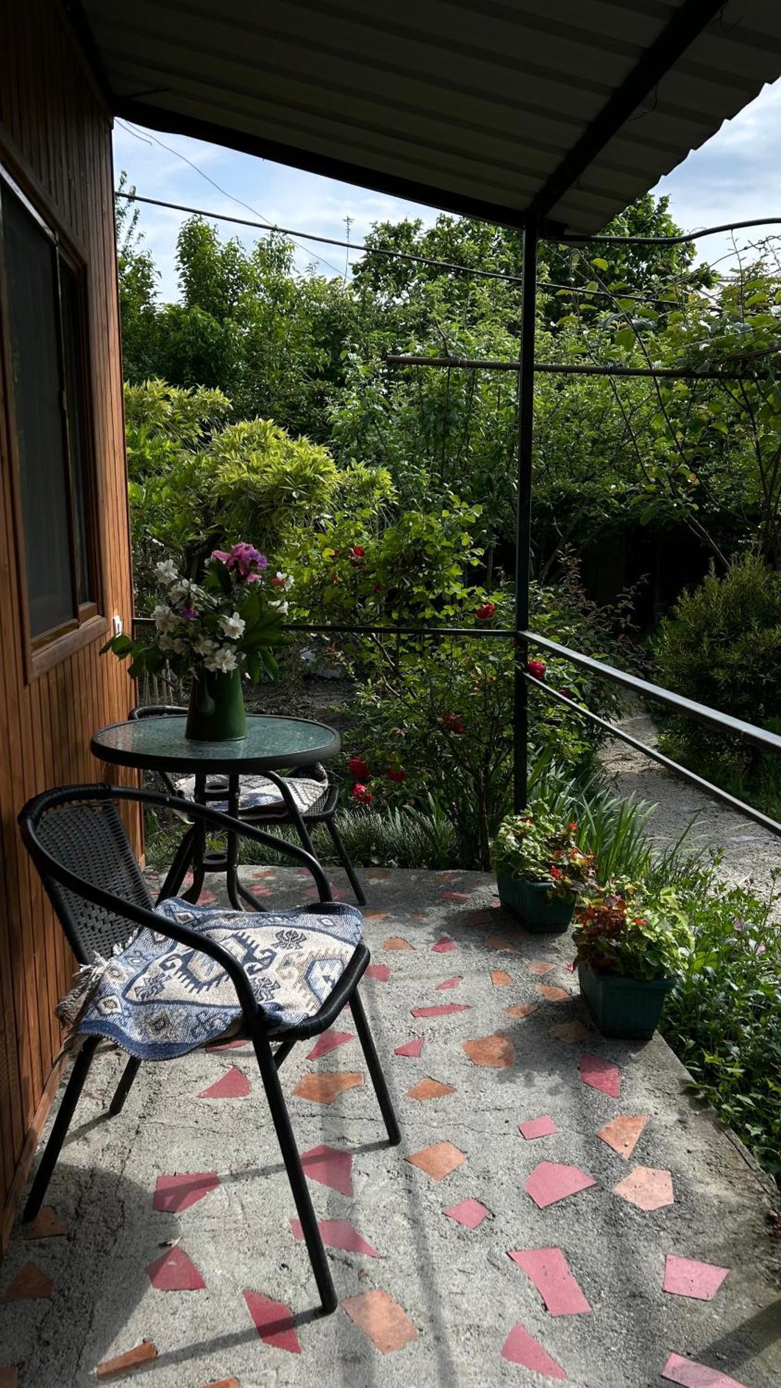 Ludwig Guesthouse Lagodekhi Esterno foto