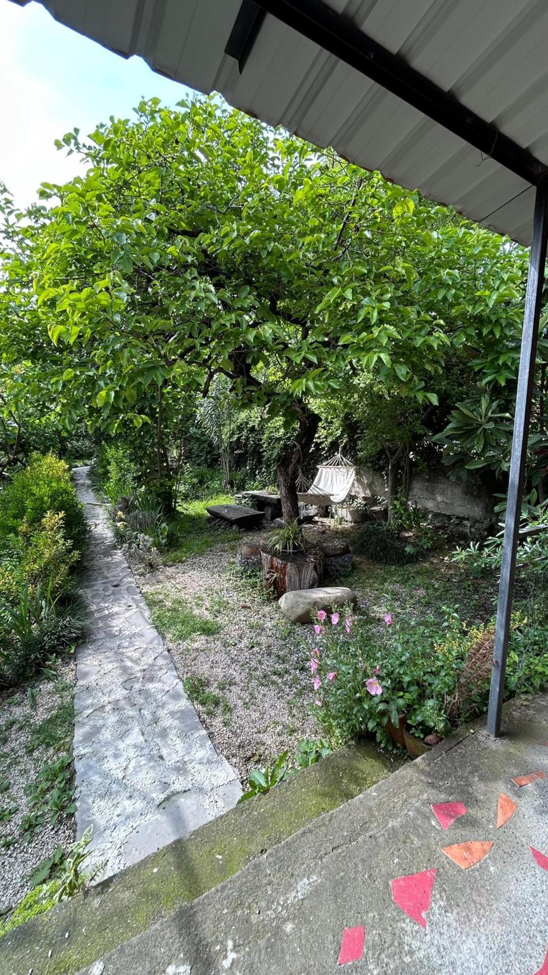 Ludwig Guesthouse Lagodekhi Esterno foto